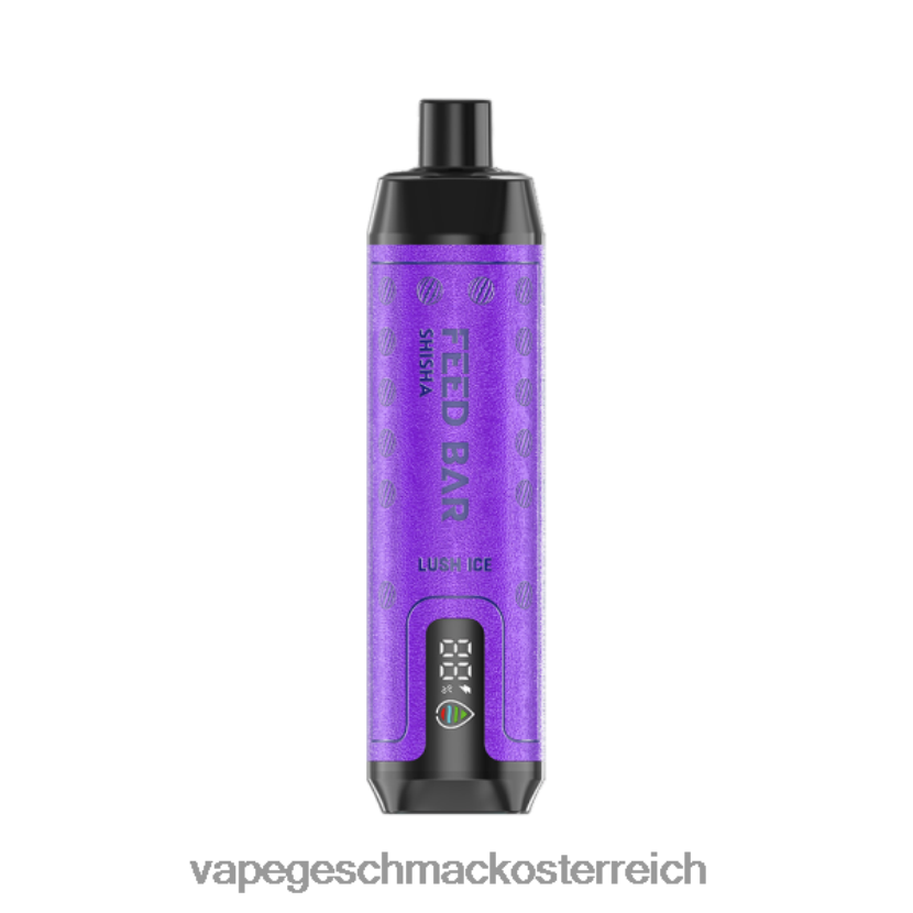 Einweg Vape Österreich - Vapsolo SHISHA Einweg-Vapor üppiges Eis P268ZR120