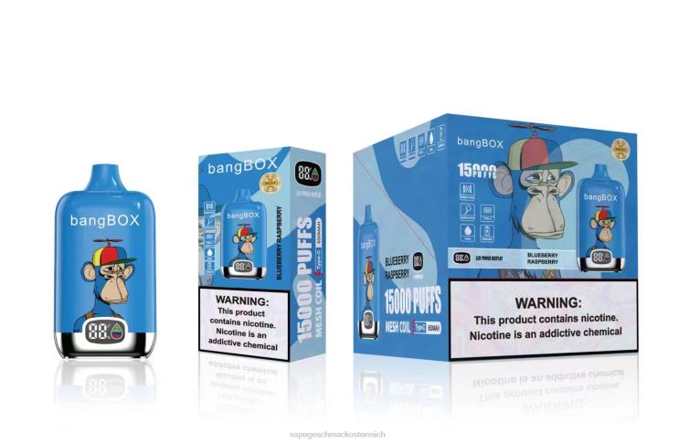 Vape Geschmack - Bang Box 15000 Züge 8DTH846 Blaubeer-Himbeere