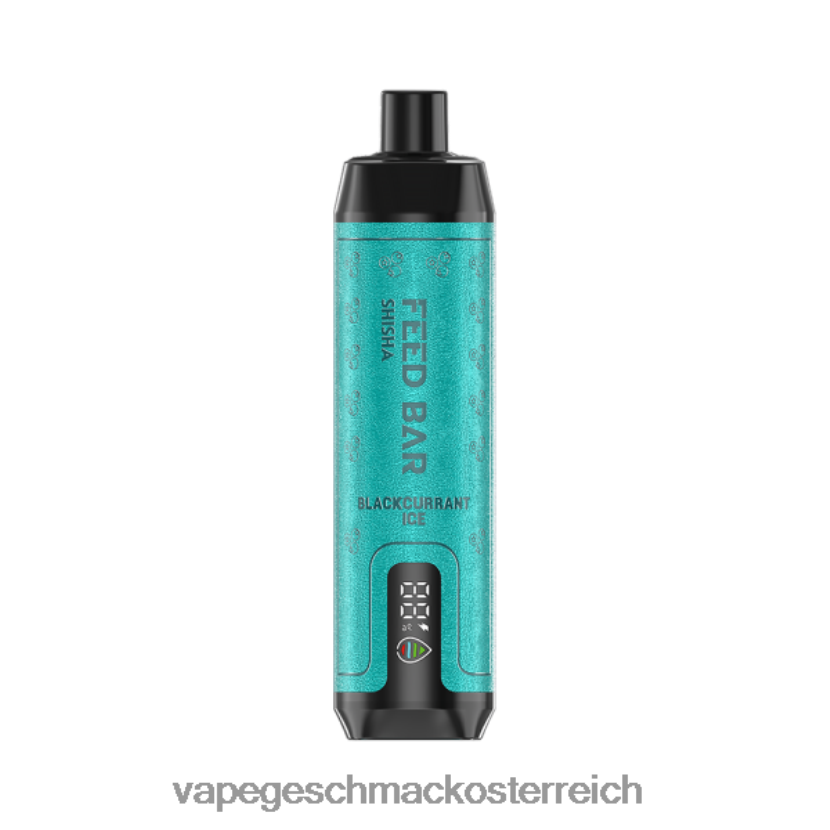 Vape Geschmack - Vapsolo SHISHA Einweg-Vapor schwarzes Johannisbeereis P268ZR114