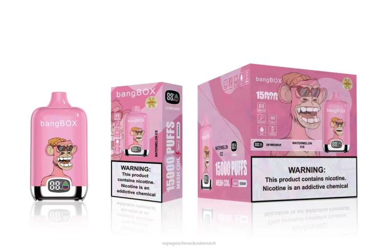 Vape Shop Wien - Bang Box 15000 Züge 8DTH845 Wassermeloneneis