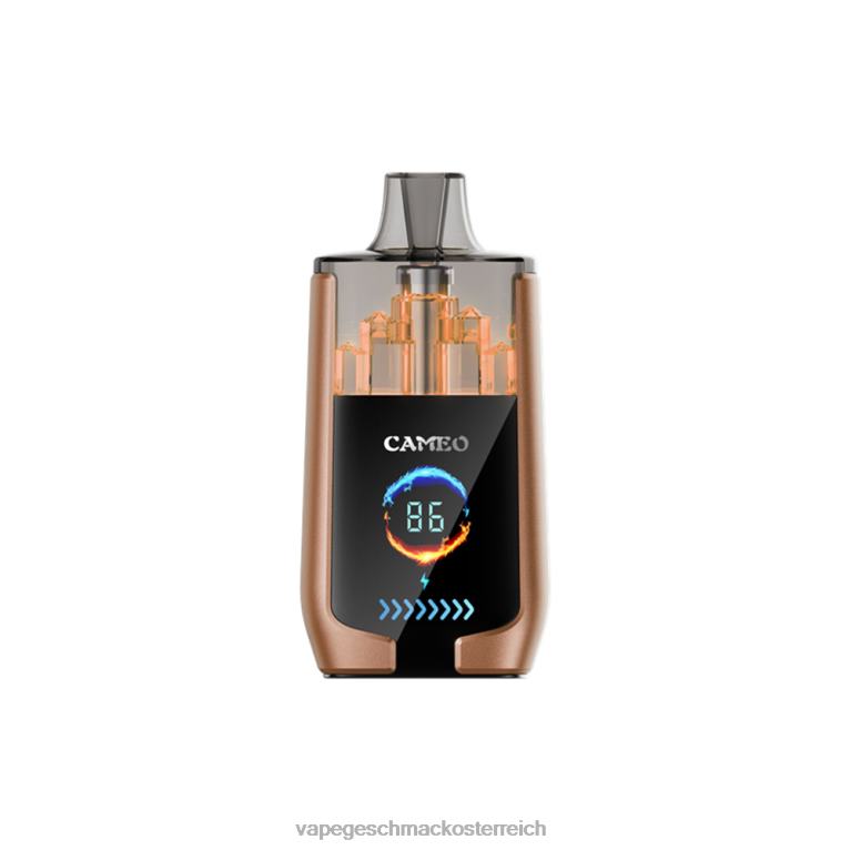 Vape Geschmack - Kaffeeeis 0HHN818 LAVIE CAMEO 30000 Züge