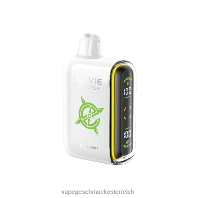 Vape Geschmack - Miami-Minze 0HHN898 LAVIE PLUS 15000 Züge