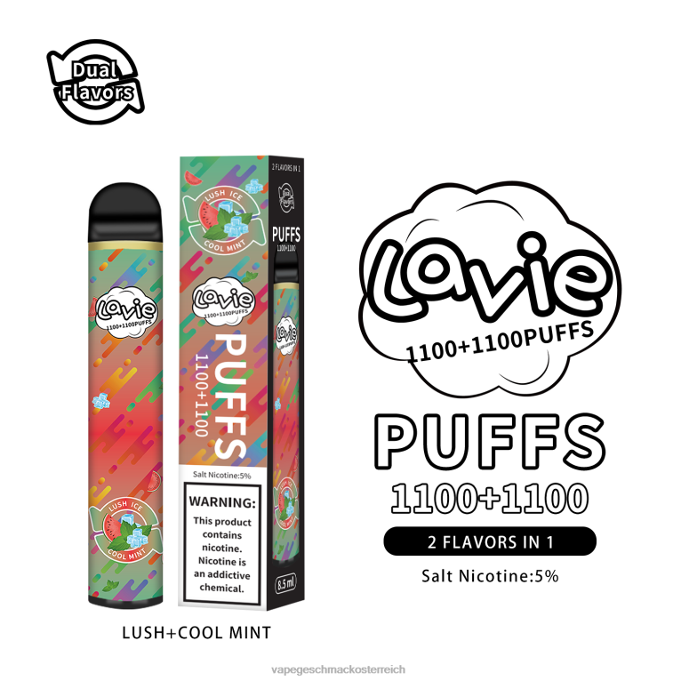 Vape Geschmack - üppige/kühle Minze 0HHN8294 LAVIE BAR Switch 2200 Züge