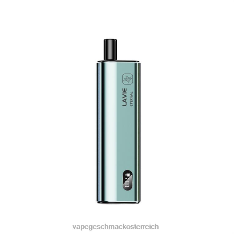 Vape Shop Wien - Minz-Eis 0HHN8121 LAVIE ETERNAL 10000 Züge